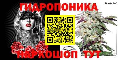 кокаин колумбия Кингисепп