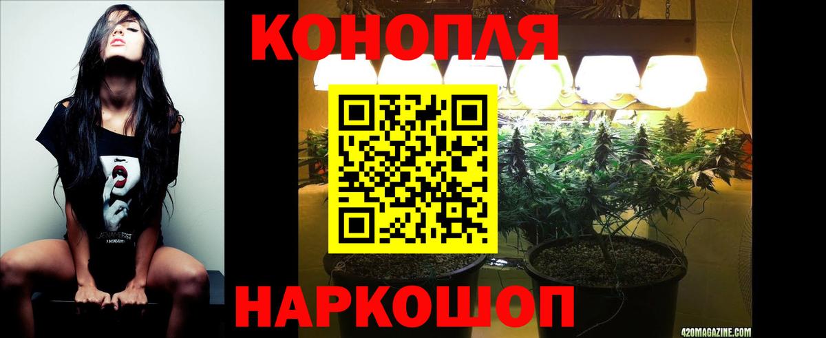 Бошки марихуана конопля Котельники